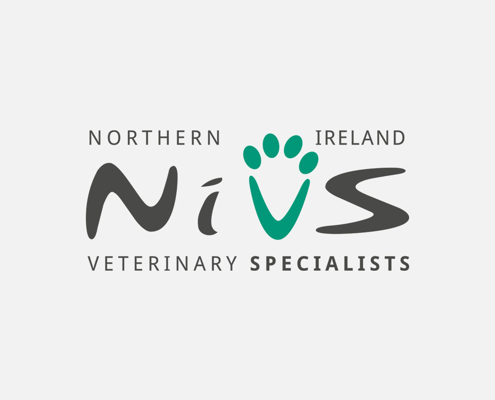 CPD Event – Feline Heart Murmurs: What’s Next?