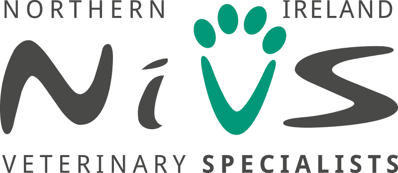 Northern Ireland Veterinary Specialists